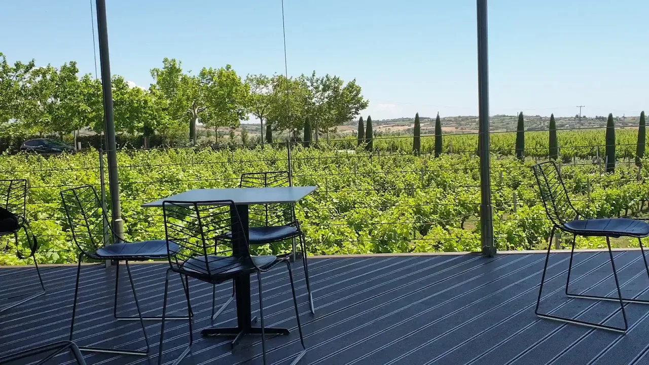 An open-sided vineyard tasting terrace overlooking rows of vines and cypress trees at a Northern Greek winery near Thessaloniki