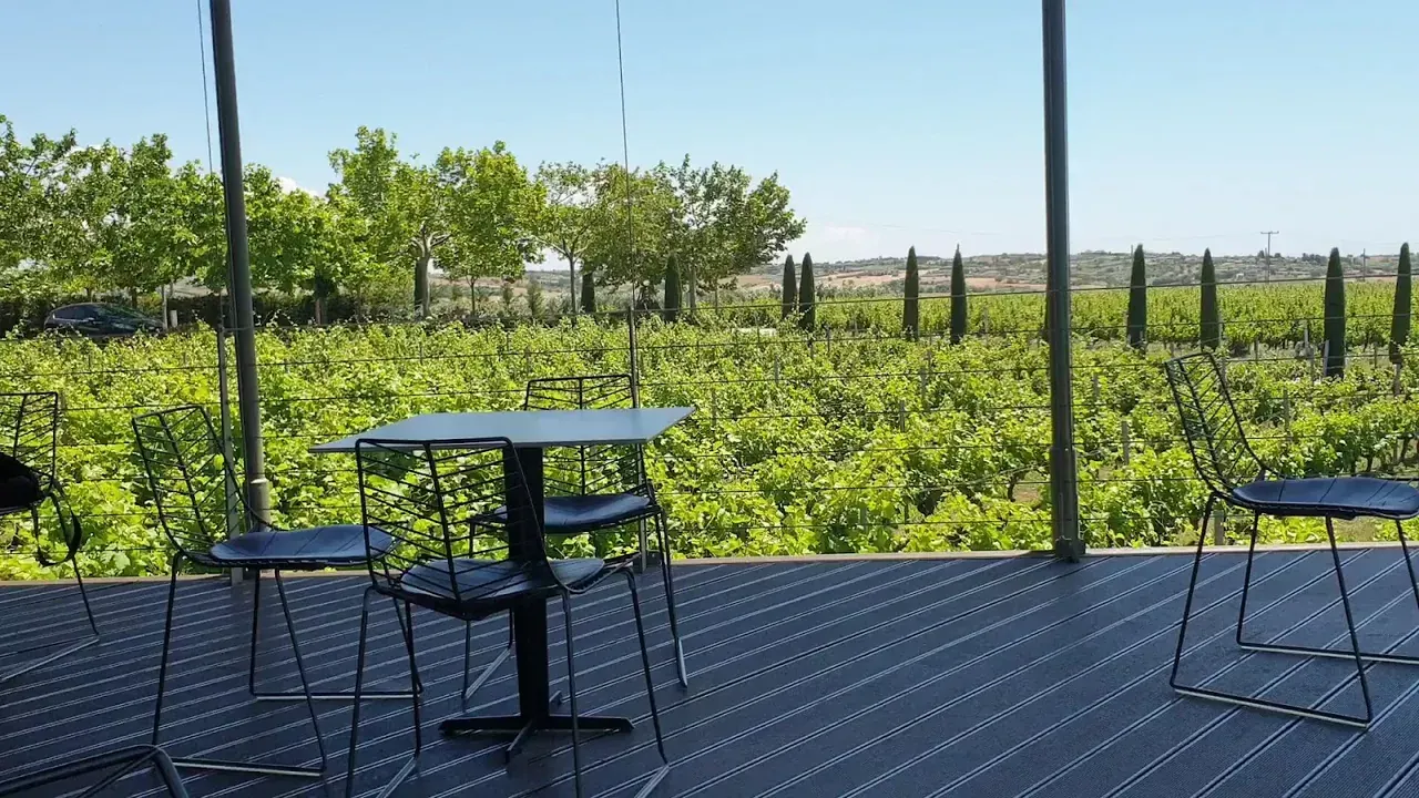 An open-sided vineyard tasting terrace overlooking rows of vines and cypress trees at a Northern Greek winery near Thessaloniki