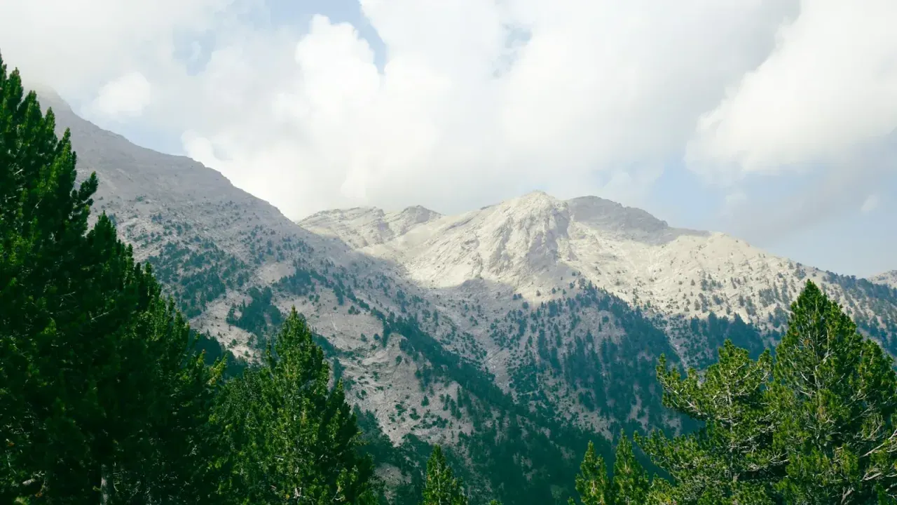 The rocky peaks of Mount Olympus rising above pine forest