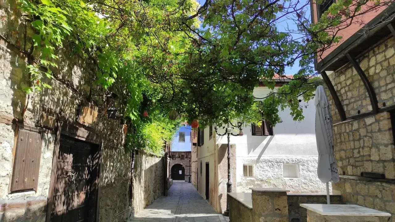 A grapevine-covered stone lane between traditional buildings in a historic Macedonian old town near Veria
