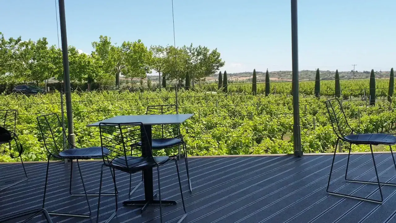 A tasting terrace overlooking rows of vines at a wine estate near Thessaloniki