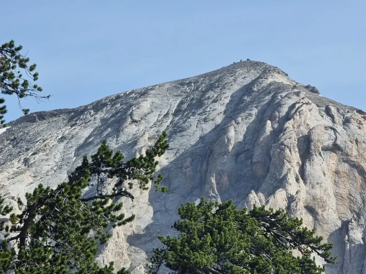 The bare rocky summit massif of Mount Olympus rising above forested slopes