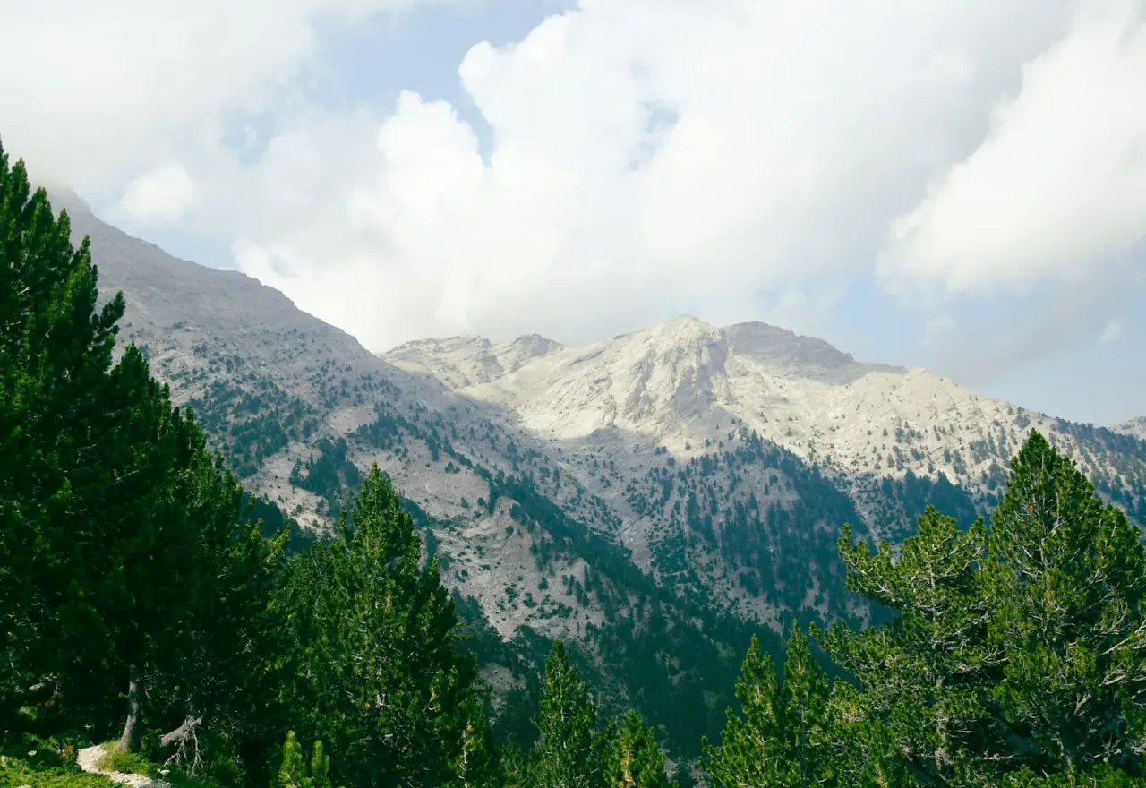 The rocky peaks of Mount Olympus rising above pine forest