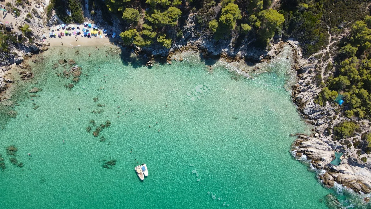 An aerial view of a pine-fringed turquoise cove in Halkidiki, a popular day trip from Thessaloniki