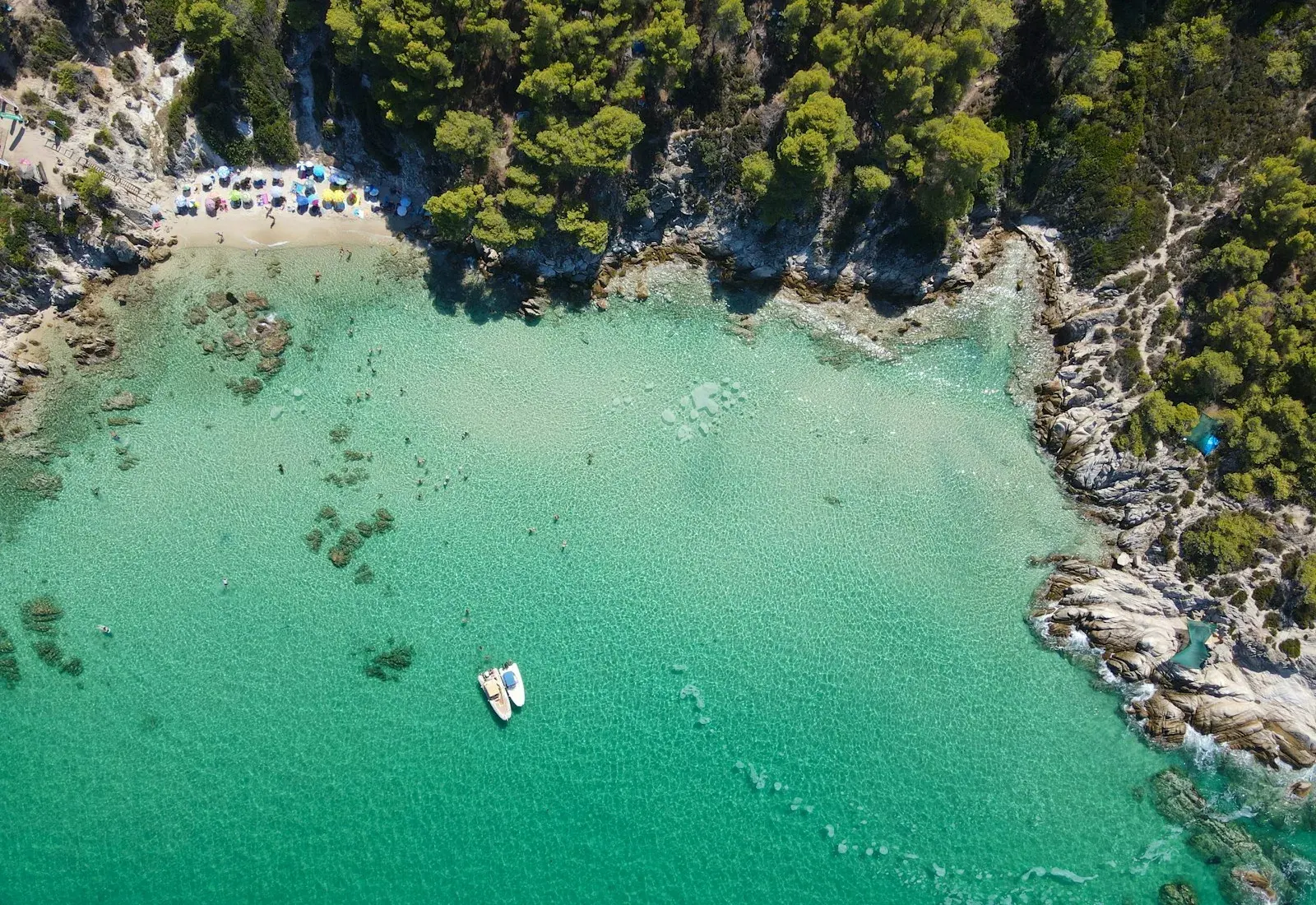 Aerial view of a turquoise pine-fringed cove with a boat in Halkidiki