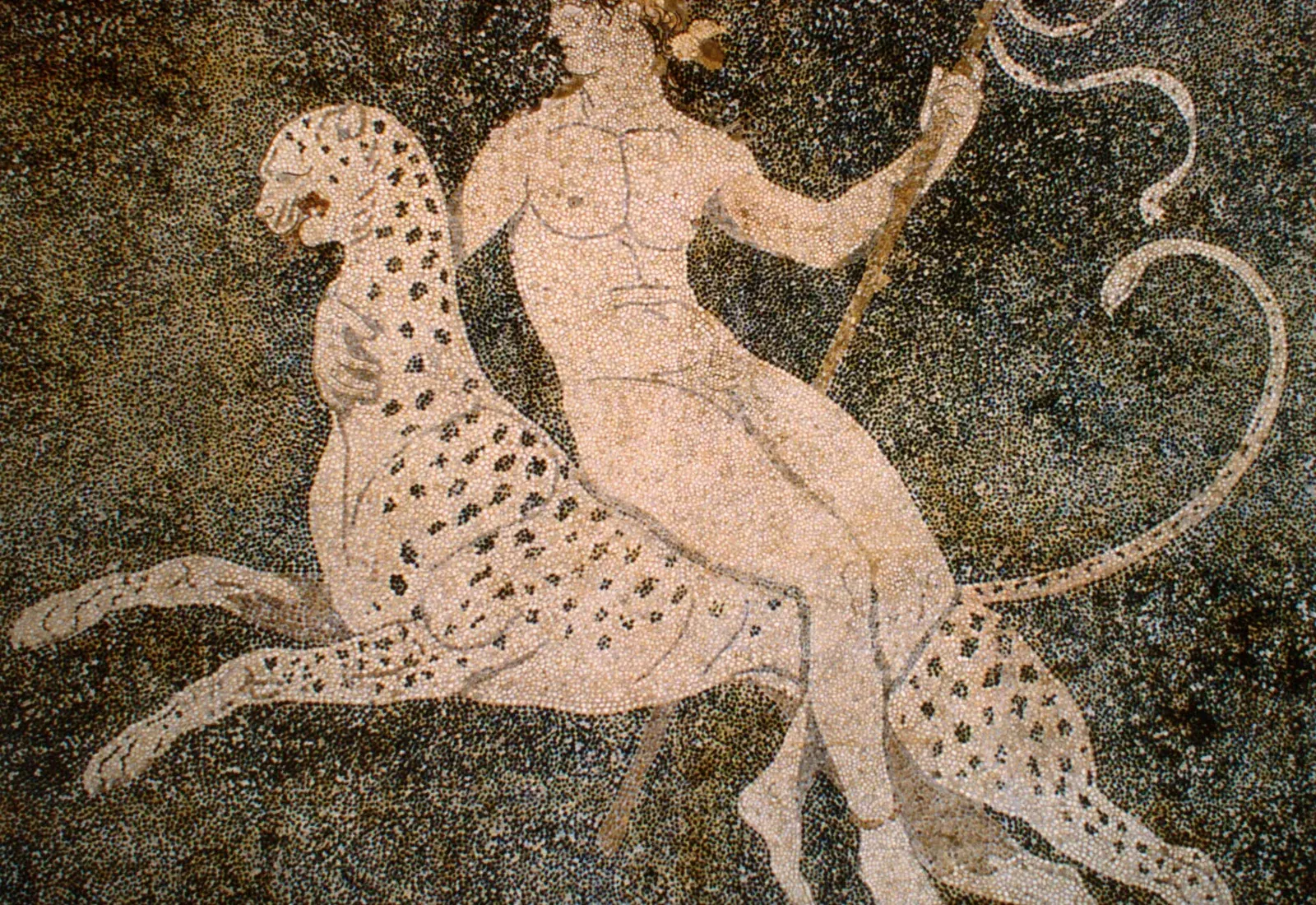 The Dionysus-on-a-panther pebble mosaic from ancient Pella
