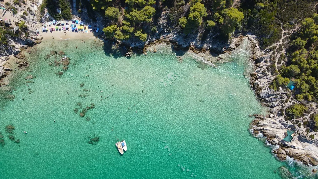 An aerial view of a pine-fringed turquoise cove in Halkidiki, a popular day trip from Thessaloniki