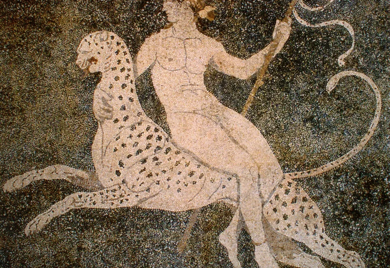 The Dionysus-on-a-panther pebble mosaic from ancient Pella
